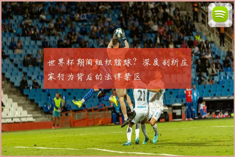 世界杯期间组织赌球?深度剖析庄家行为背后的法律禁区