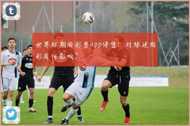 世界杯期间彩票app停售：对球迷购彩有何影响？