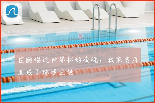 在酷喵追世界杯的夜晚，我家客厅变成了球迷主场