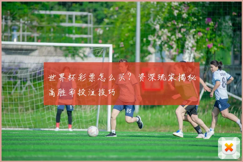 世界杯彩票怎么买?资深玩家揭秘高胜率投注技巧