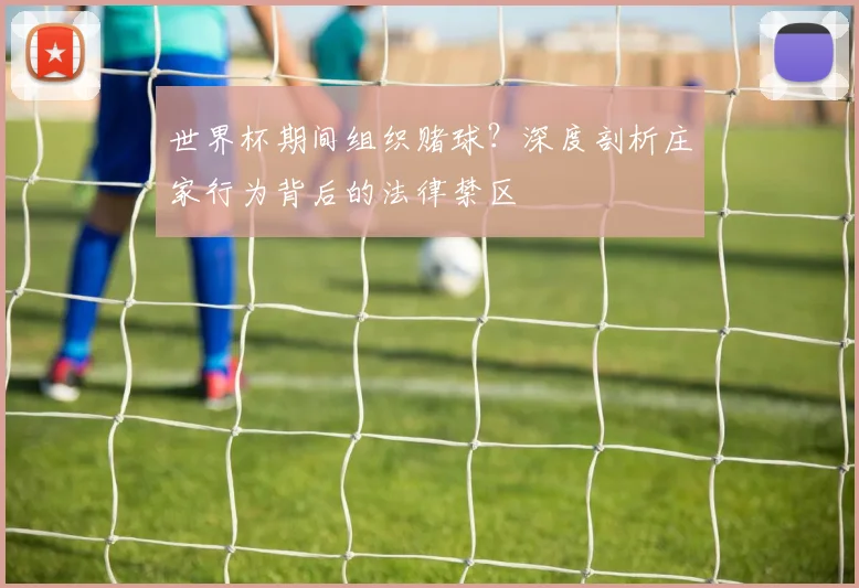 世界杯期间组织赌球?深度剖析庄家行为背后的法律禁区