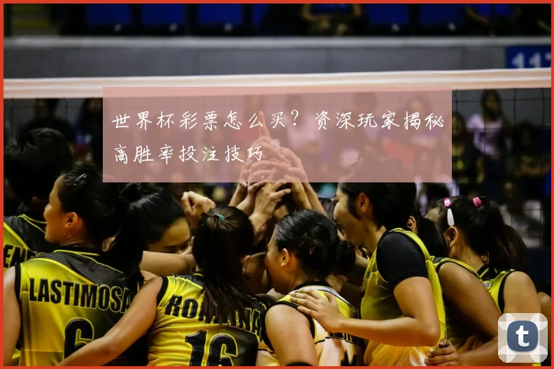 世界杯彩票怎么买?资深玩家揭秘高胜率投注技巧