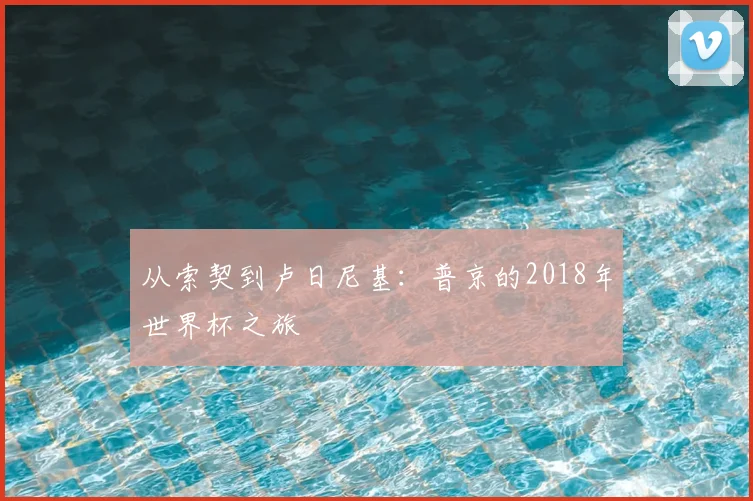 从索契到卢日尼基:普京的2018年世界杯之旅