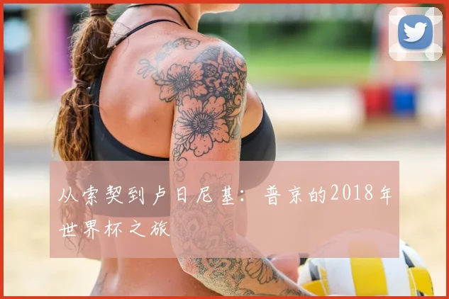 从索契到卢日尼基：普京的2018年世界杯之旅