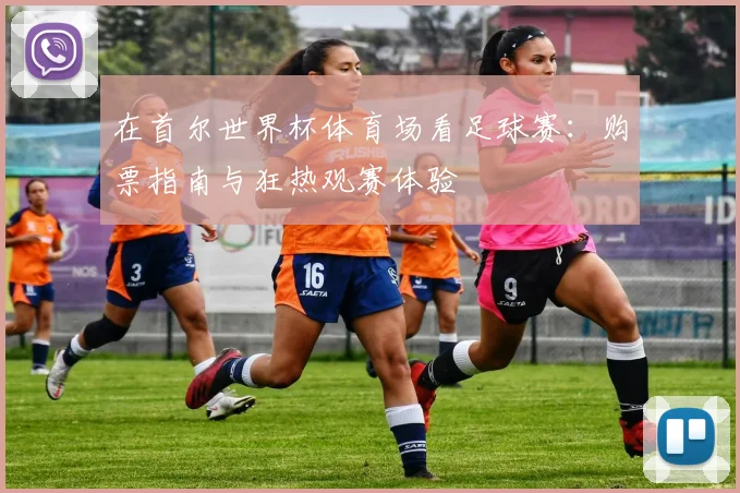 在首尔世界杯体育场看足球赛：购票指南与狂热观赛体验