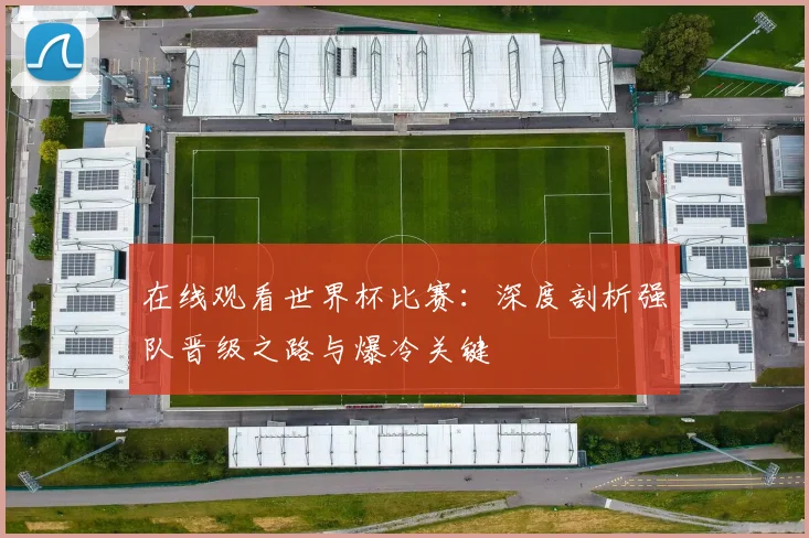 在线观看世界杯比赛：深度剖析强队晋级之路与爆冷关键