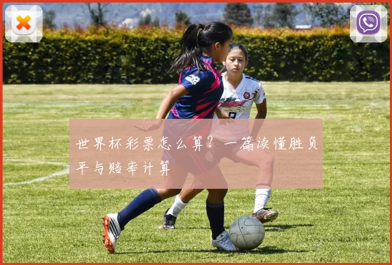 世界杯彩票怎么算?一篇读懂胜负平与赔率计算