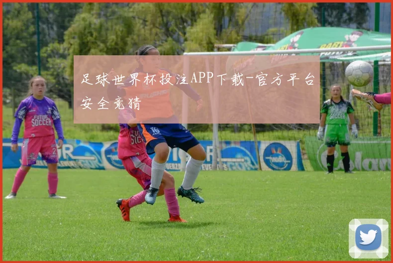 足球世界杯投注APP下载-官方平台安全竞猜
