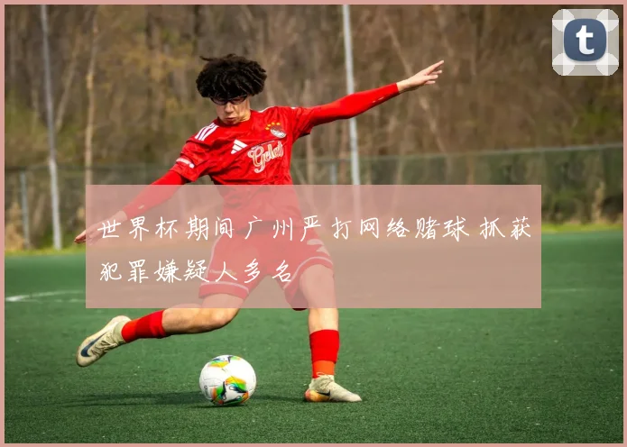 世界杯期间广州严打网络赌球 抓获犯罪嫌疑人多名